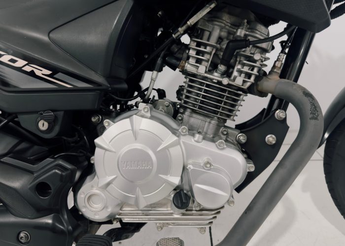 WhatsApp Image 2026-02-11 at 11.31.57 (2)