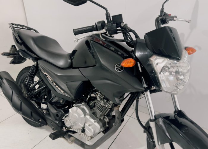 WhatsApp Image 2026-02-11 at 11.31.57 (3)